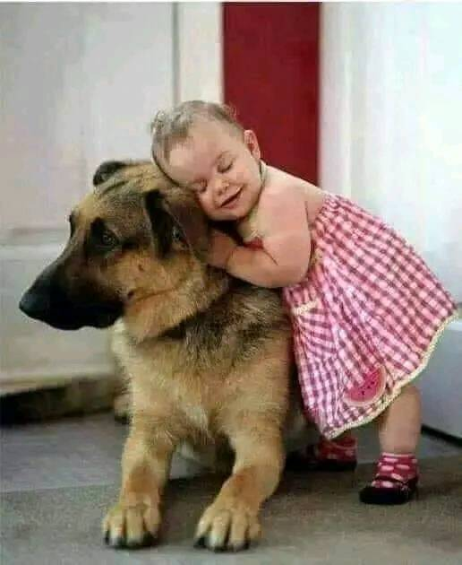 Que Es El Amor?...Respuestas De Algunos niños:
1._Cuándo mi abuela tuvo artritis, ya no podía inclinarse y pintarse las uñas de los pies .. 
Y mi abuelo lo hace por ella todo el tiempo, incluso cuándo sus manos también tienen artritis Eso es amor.' Rebecca - 8 años 

2_ El amor