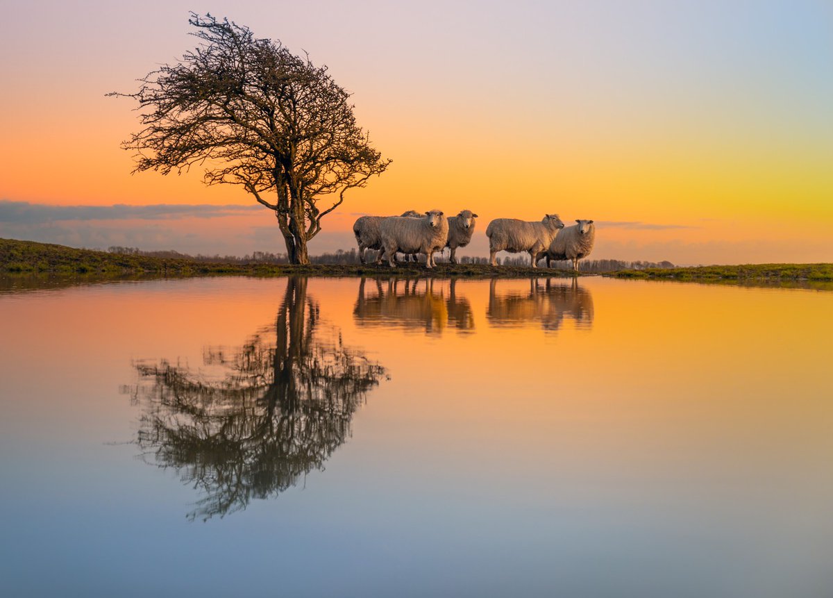 Canon UK and Ireland tweet media