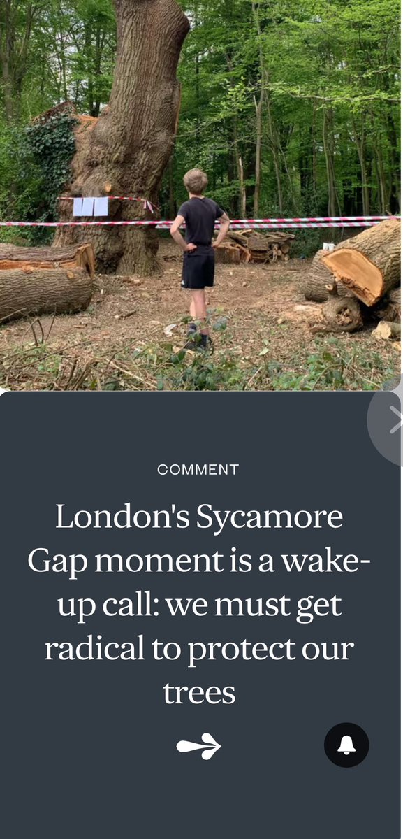 It’s now confirmed that Toby Carvery did indeed fell the Whitewebbs Oak, on the same day that evidence is emerging the tree may have been 500 years old. The lame excuse they gave that the tree was “dead” is not only false (ecologists have found green buds on the felled branches)