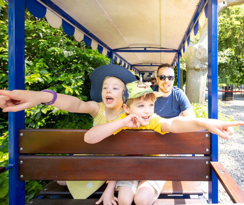 Who else is looking forward to the Easter bank holiday? 🙋

From stargazing and Tudor adventures to Easter egg hunts and canal cruises with the Easter Bunny, there’s plenty to enjoy. Check out what's on: chesterfield.co.uk/visiting/event…

#LoveChesterfield #EasterInChesterfield