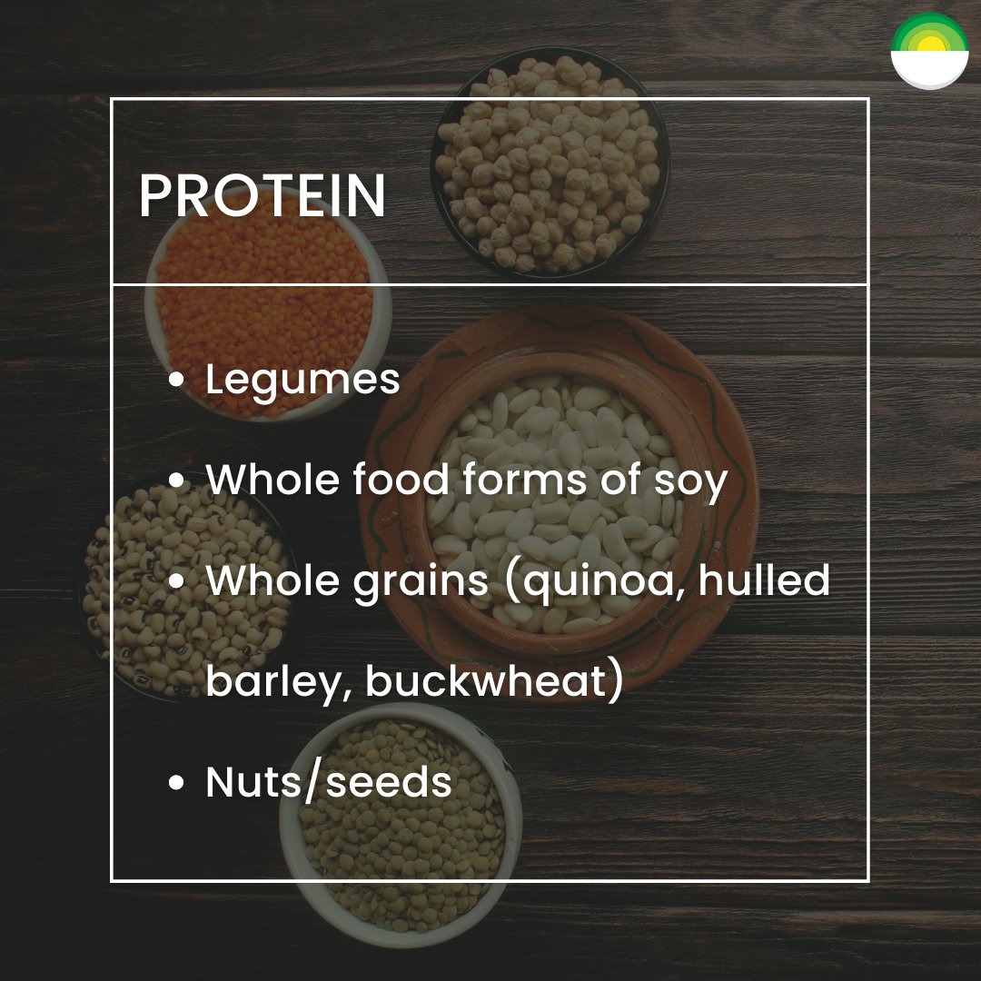 EN: 🌱 Get plant-based tips from our blog on How To Go Vegan. Learn about the health advantages: bit.ly/3D9Bjt0
_____

ES: Obtén consejos basados en plantas de nuestro blog sobre Cómo Adoptar el Veganismo. Descubre las ventajas para la salud: bit.ly/49D9F7d 🌱