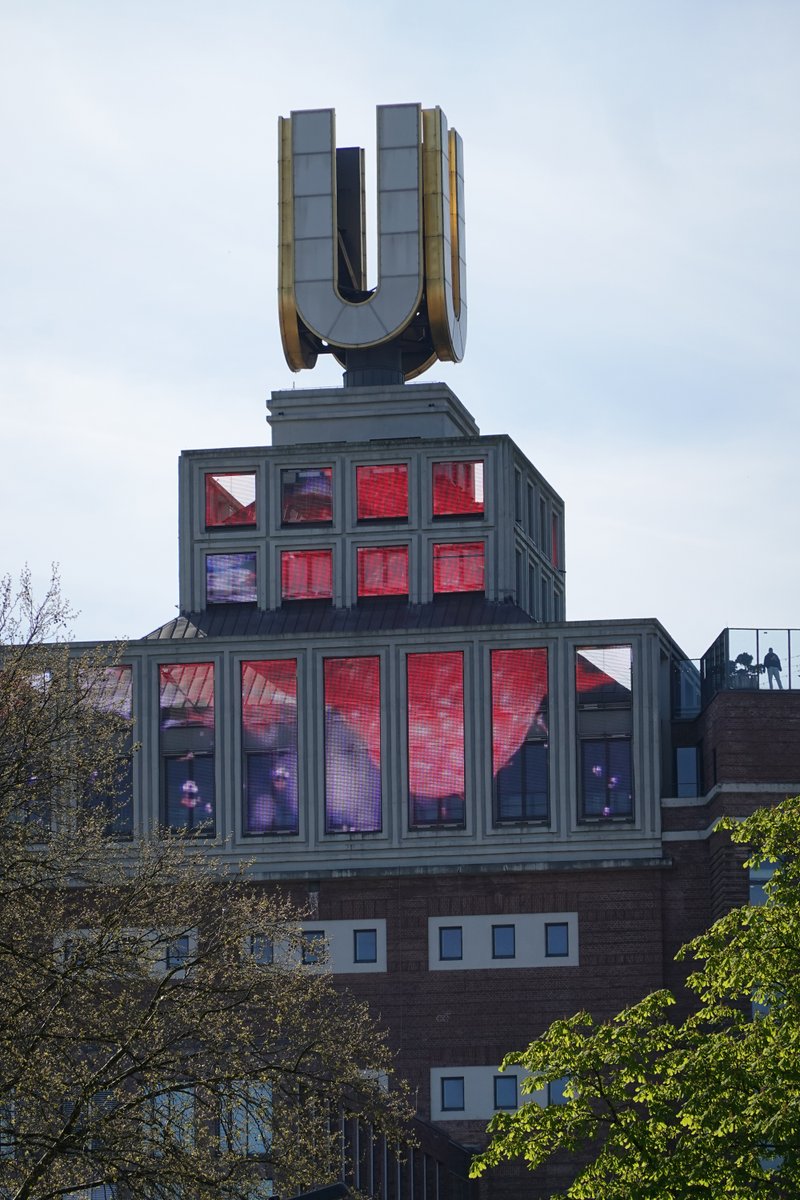 Lynn Pearson tweet media