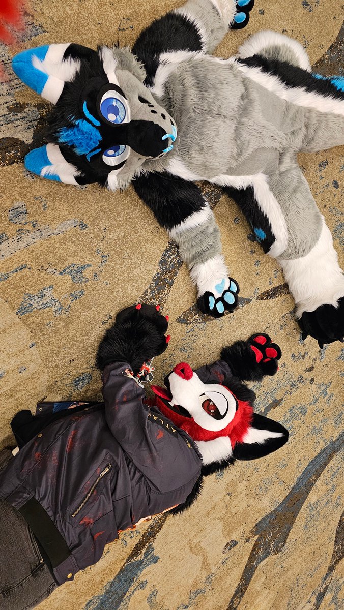 PCD hitting so hard we died. At least we died together <a href="/Lil_Wusky/">Akari Wusky✈️ TFF25</a>. 

#TFF2025 #Furry #Fursuit