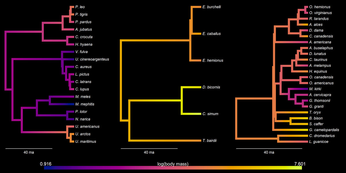 Projecting a continuous character onto the branches of multiple trees using a consistent color gradient with #phytools: blog.phytools.org/2025/04/projec….