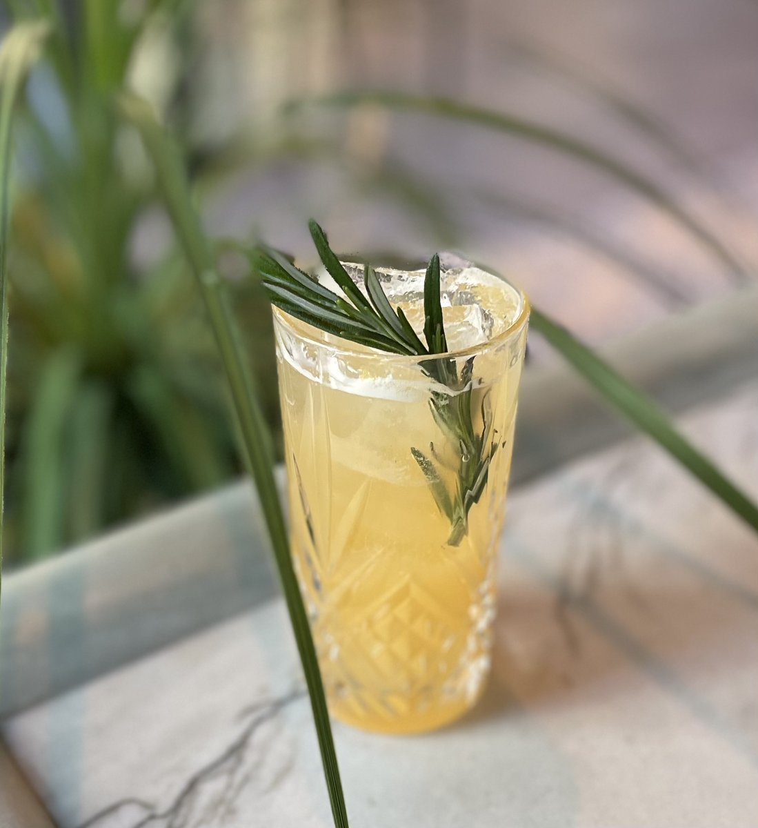 Circa's Ruby Rose: Refreshing, refined, and perfectly non-alcoholic.