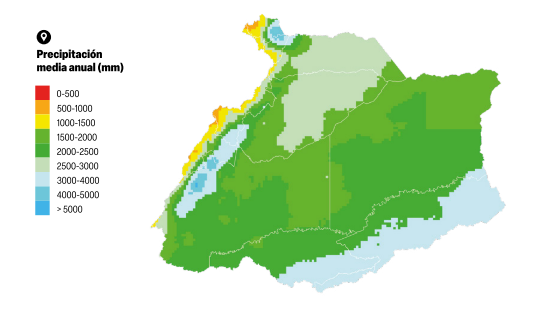 Ana Carolina Santos Rocha tweet media