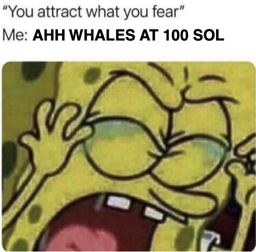 Catalina Whale Mixer tweet media