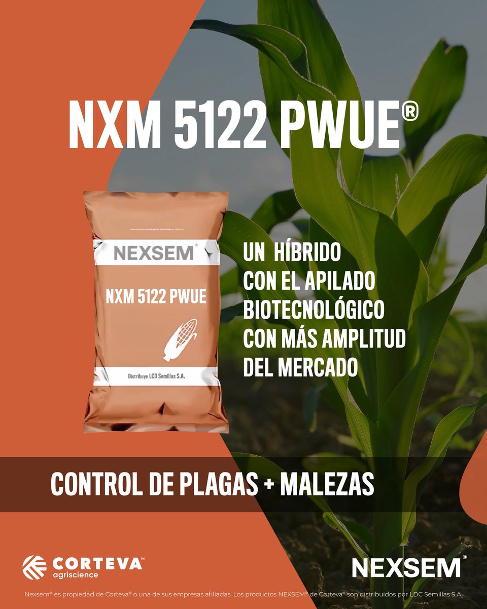 NexsemSemillas's tweet photo. 🌽Un híbrido de alto rendimiento y estabilidad con excelente performance para diferentes fechas de siembra. 
Gracias a su apilado biotecnológico ofrece  protección total contra: insectos, malezas y enfermedades.

#Enlist #ControlDePlagas #Maíz #Híbrido #ConexionesConRinde https://t.co/JnzIW6bEiz