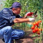 Photo by ClimaPod Greenhouses (@climapod)