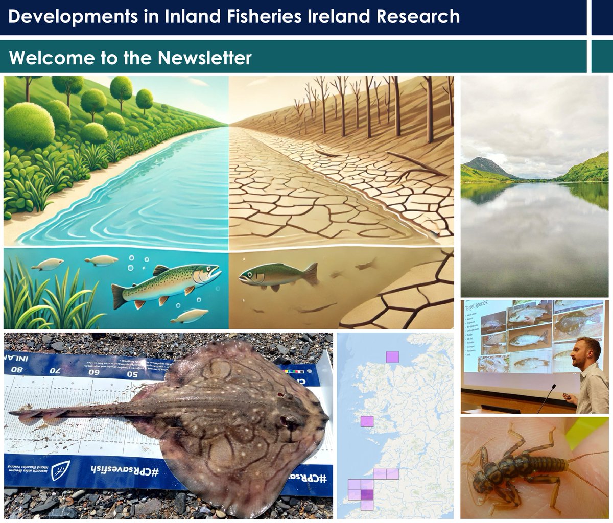 IFI Research (@researchifi) on Twitter photo 20th <a href="/ResearchIFI/">IFI Research</a> quarterly newsletter has just been released. Topics covered include:
- Climate Workshop
- <a href="/EPACatchments/">EPA Catchments</a> RESTORE Project,
- New Lake Book,
- <a href="/AtlanticArea/">Interreg Atlantic Area</a> DiadSea project
- Undulate Ray....
fisheriesireland.ie/sites/default/… 20th <a href="/ResearchIFI/">IFI Research</a> quarterly newsletter has just been released. Topics covered include:
- Climate Workshop
- <a href="/EPACatchments/">EPA Catchments</a> RESTORE Project,
- New Lake Book,
- <a href="/AtlanticArea/">Interreg Atlantic Area</a> DiadSea project
- Undulate Ray....
fisheriesireland.ie/sites/default/…