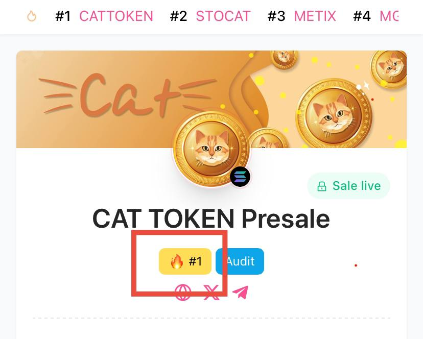 CAT TOKEN tweet media