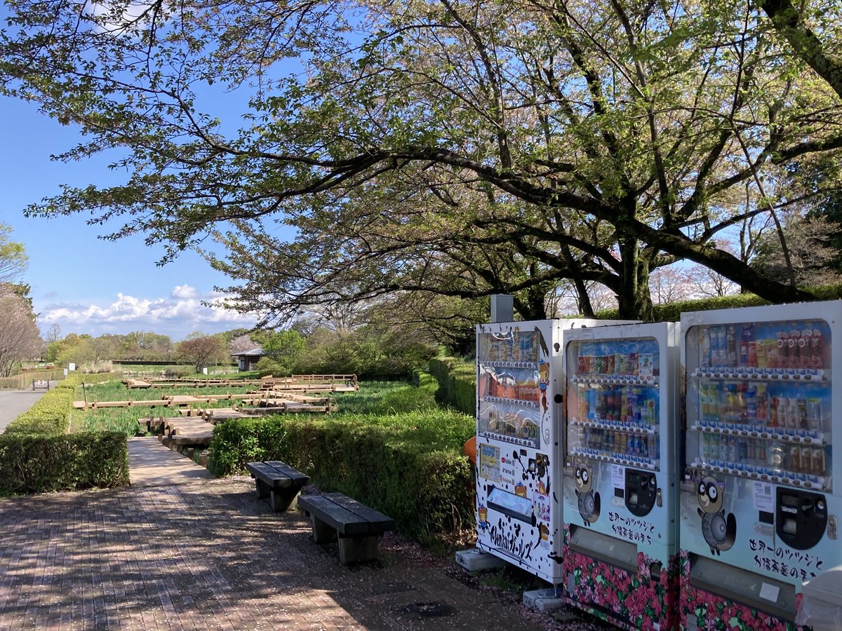雨天時は  19日（前日）のお昼頃に可否を決めるそうです。 パレードが中止になってもイベントはやるそうなので、遊びに行ってあげてくださいませ（コスOK）

と、去年お会いした現地の方から情報を頂きました。現地のお写真！館林お稲荷フェス！凄く素敵なロケーション！！！！！