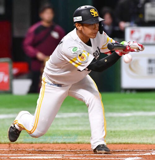 日刊スポーツ西部本社(九州・山口) on X: 日刊スポーツ西部本社(九州・山口) on X: