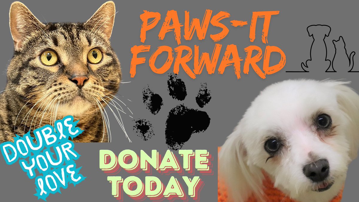 Be a part, be the difference and be that hero so many need.

Ready- Set - put your best paw forward and double the love! Please spread the news and share this post!! To give your gift of love, just click on the link below!
siouxlandhumanesociety.org/donation-form/