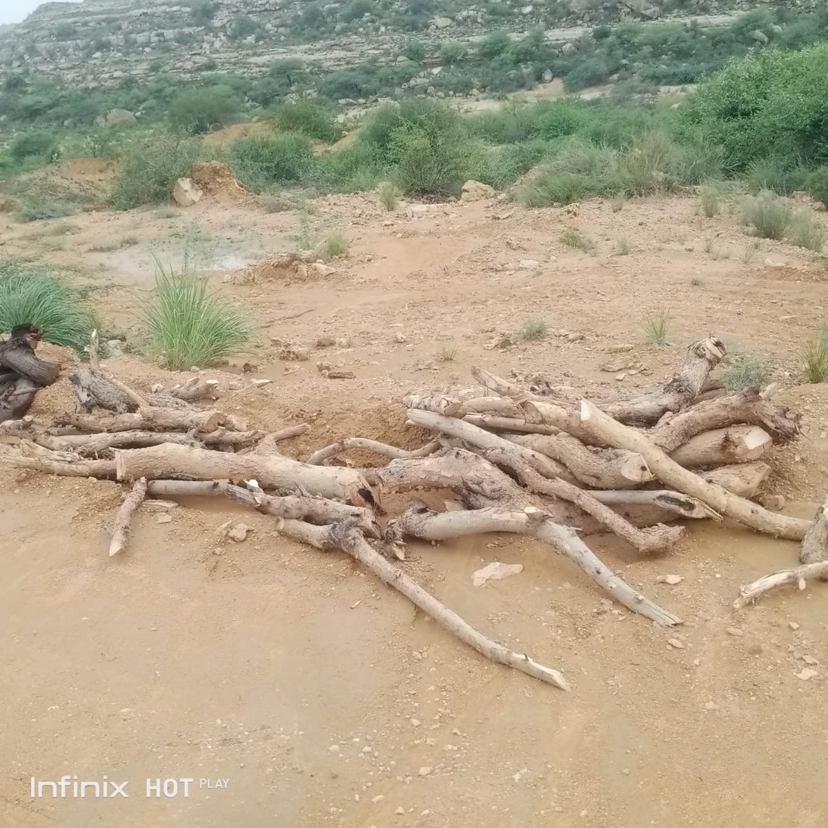 BalochHafeez201's tweet image. Thread: What’s happening to Kirthar National Park is an environmental tragedy in the making. Here’s what I saw today 

I visited the boundary areas of #KirtharNationalPark today. What I witnessed was shocking.1/5
#SaveKirthar 
@UN @UNEP @UNFCCC @WWFPak