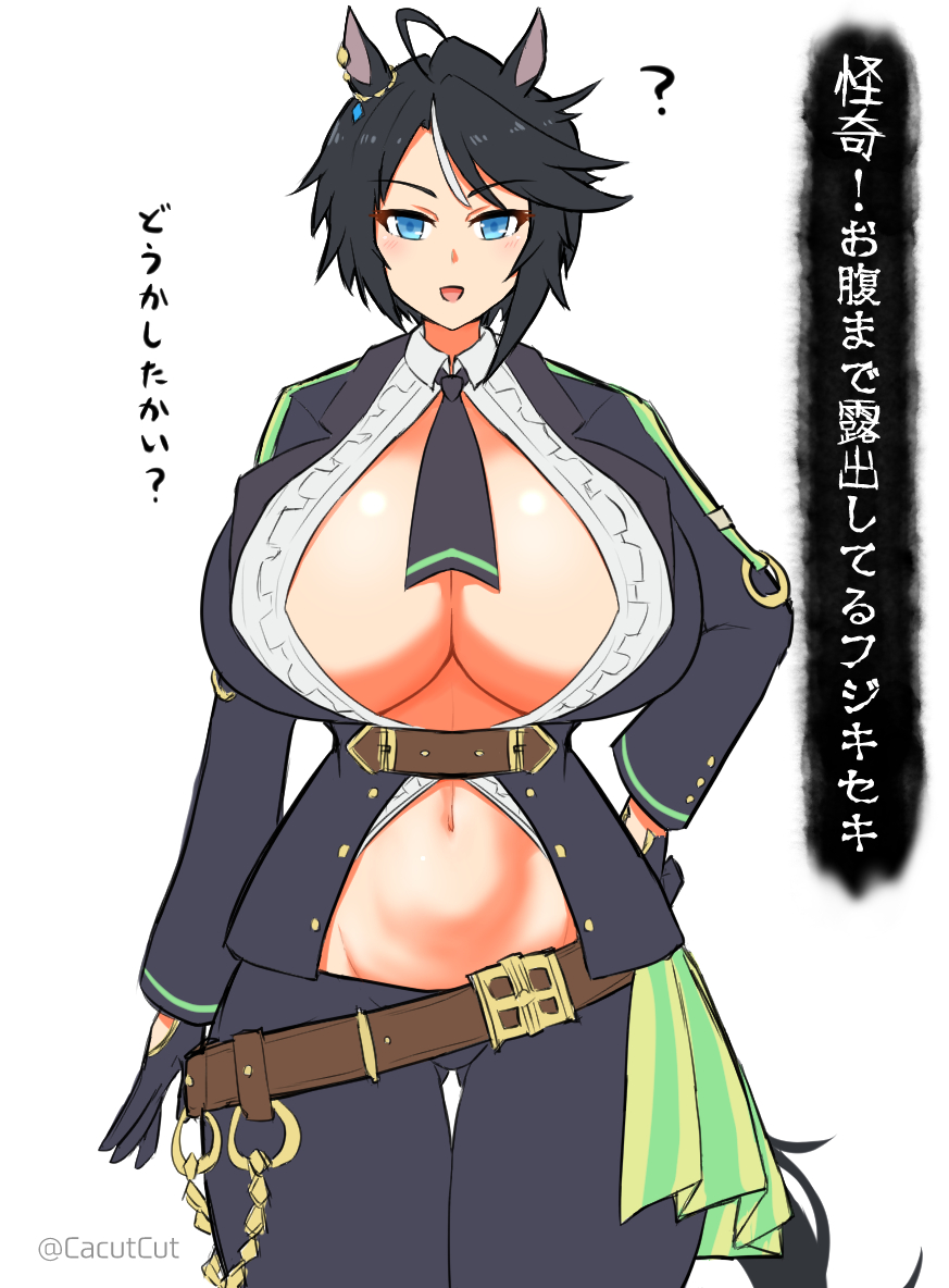 フジキセキのまとめです 