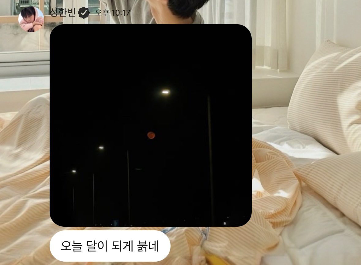 뭐야 이 럽플챗은? 건빊통 온다