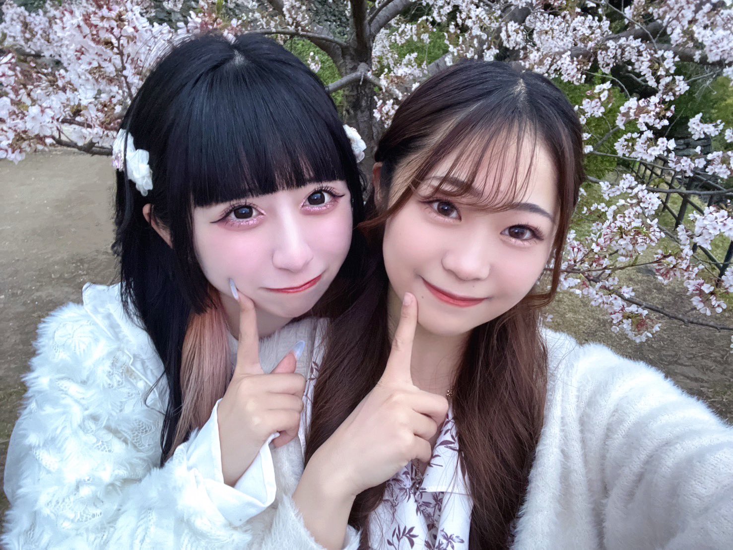 はるちゃん (@jatmdk22) / X はるちゃん (@jatmdk22) / X