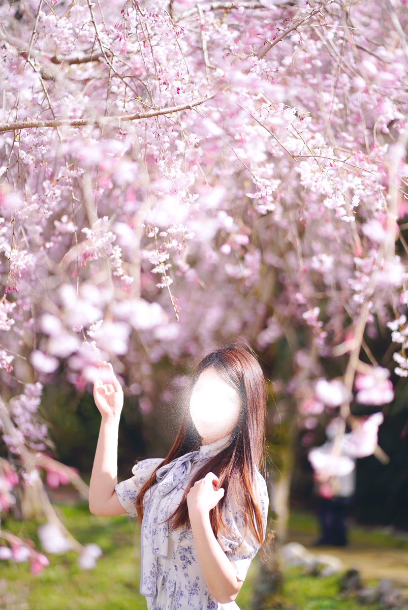 桜咲く輝きの中に一瞬の美しさを切り取る

model : AKANE
85mm f1.8
#桜ポートレート  #撮影