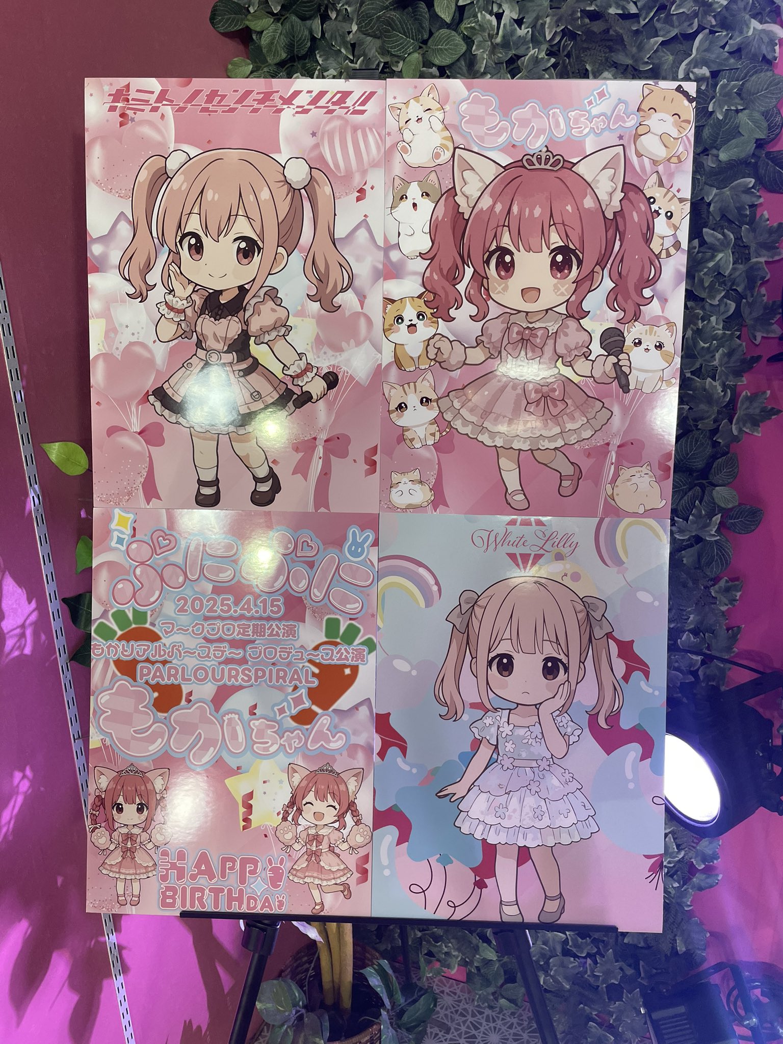 ぷにぷにもかちゃん👶🏻🍼🆒4月5日生誕祭ありがとうございました ぷにぷにもかちゃん👶🏻🍼🆒4月5日生誕祭ありがとうございました