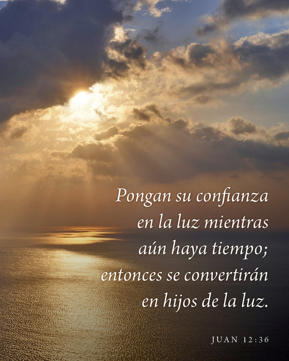 BibliaNTV's tweet photo. Pongan su confianza en la luz mientras aún haya tiempo; entonces se convertirán en hijos de la luz.
Juan 12:36, NTV https://t.co/elY8t5WwGz