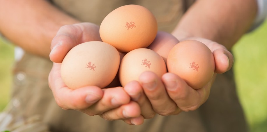 British Egg Industry Council - Public Affairs Team (@beicteam) on Twitter photo Supermarkets should use British eggs for foods made in Britain and STOP IMPORTING EGGS - Sign the Petition! chng.it/V9B5Wghnwp via <a href="/UKChange/">Change.org UK</a> Supermarkets should use British eggs for foods made in Britain and STOP IMPORTING EGGS - Sign the Petition! chng.it/V9B5Wghnwp via <a href="/UKChange/">Change.org UK</a>