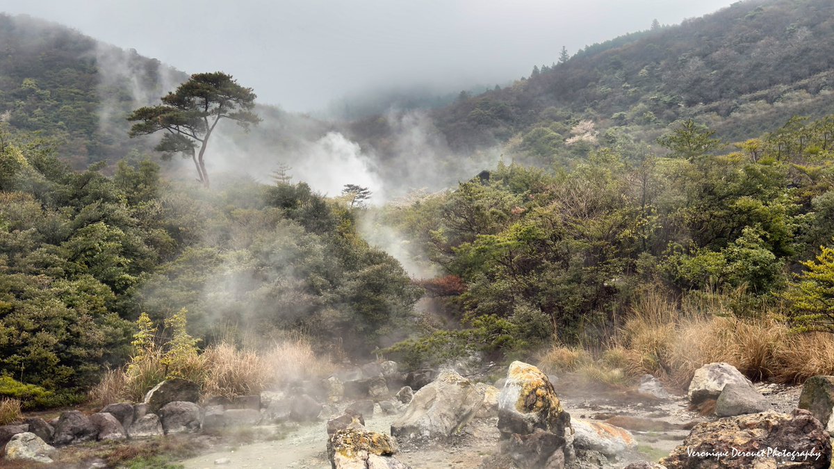 vederouet's tweet photo. 🇯🇵 Unzen is an active volcano
The fumaroles emerging from the ground in this volcanic area.
Veronique Derouet 04/2025
#japan #kyushu #unzen #volcano #fumarole @ThePhotoHour @StormHour https://t.co/m5AEV8C18W