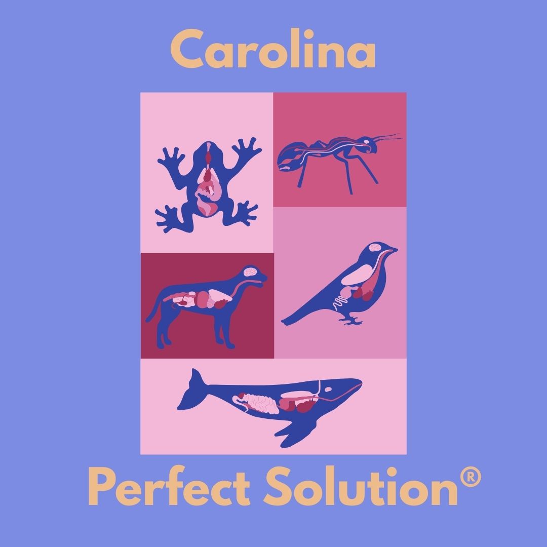 AYVA is proud to offer Carolina Perfect Solution® product line which is a unique, formula that preserves the natural texture and colours of specimens. No formalin odour and easy disposal makes Perfect Solution® specimens an excellent alternative to traditional specimens.
🥼🦠🔬