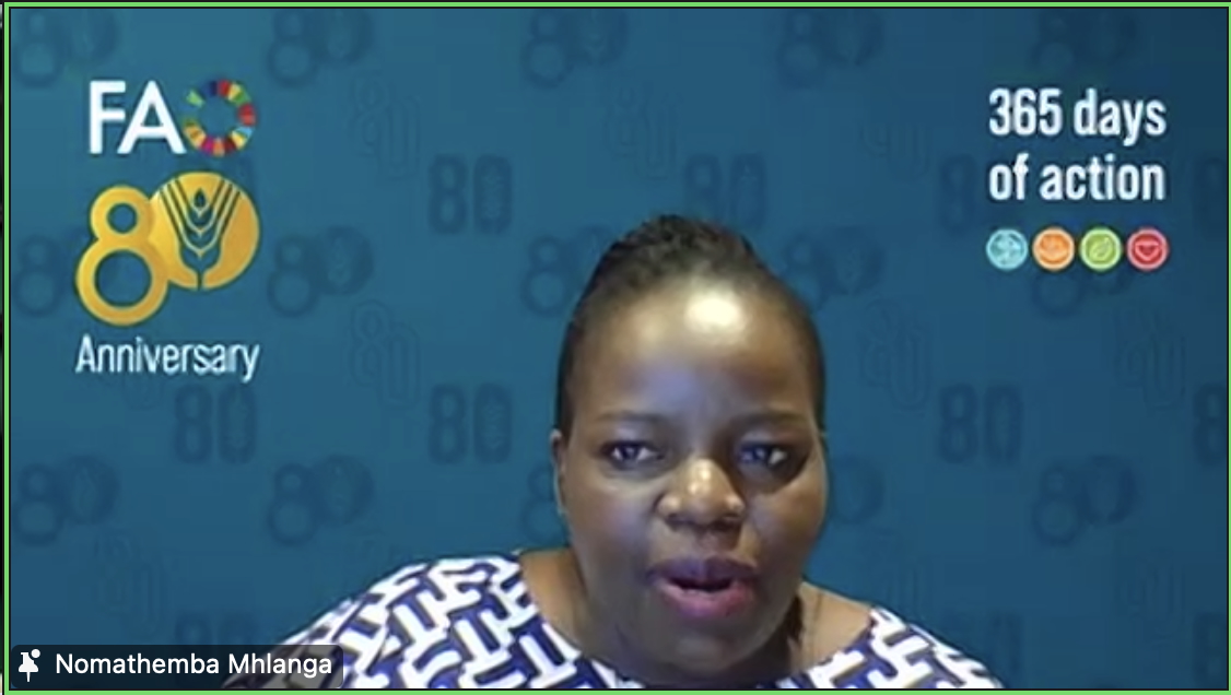 International Agri-Food Net (@agrifoodnet) on Twitter photo Ms. Nomathemba Mhlanga (<a href="/NomaMhlanga/">Nomathemba Mhlanga</a>), FAO Representative, Rwanda, shares how the value chain plays a critical role in supporting other actors in their efforts to access finance, during the <a href="/FAO/">Food and Agriculture Organization</a>-IAFN SME Accelerator #Finance workshop. Ms. Nomathemba Mhlanga (<a href="/NomaMhlanga/">Nomathemba Mhlanga</a>), FAO Representative, Rwanda, shares how the value chain plays a critical role in supporting other actors in their efforts to access finance, during the <a href="/FAO/">Food and Agriculture Organization</a>-IAFN SME Accelerator #Finance workshop.