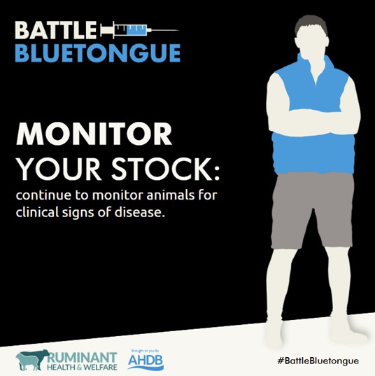 **FARMERS**
As bluetongue virus movement restrictions ease, animal keepers are encouraged to continue monitoring animals frequently for clinical signs of BTV-3 &amp; report anything immediately. 
Info on the updated restrictions visit: ruminanthw.org.uk/bluetongue-vir…
#BattleBluetongue