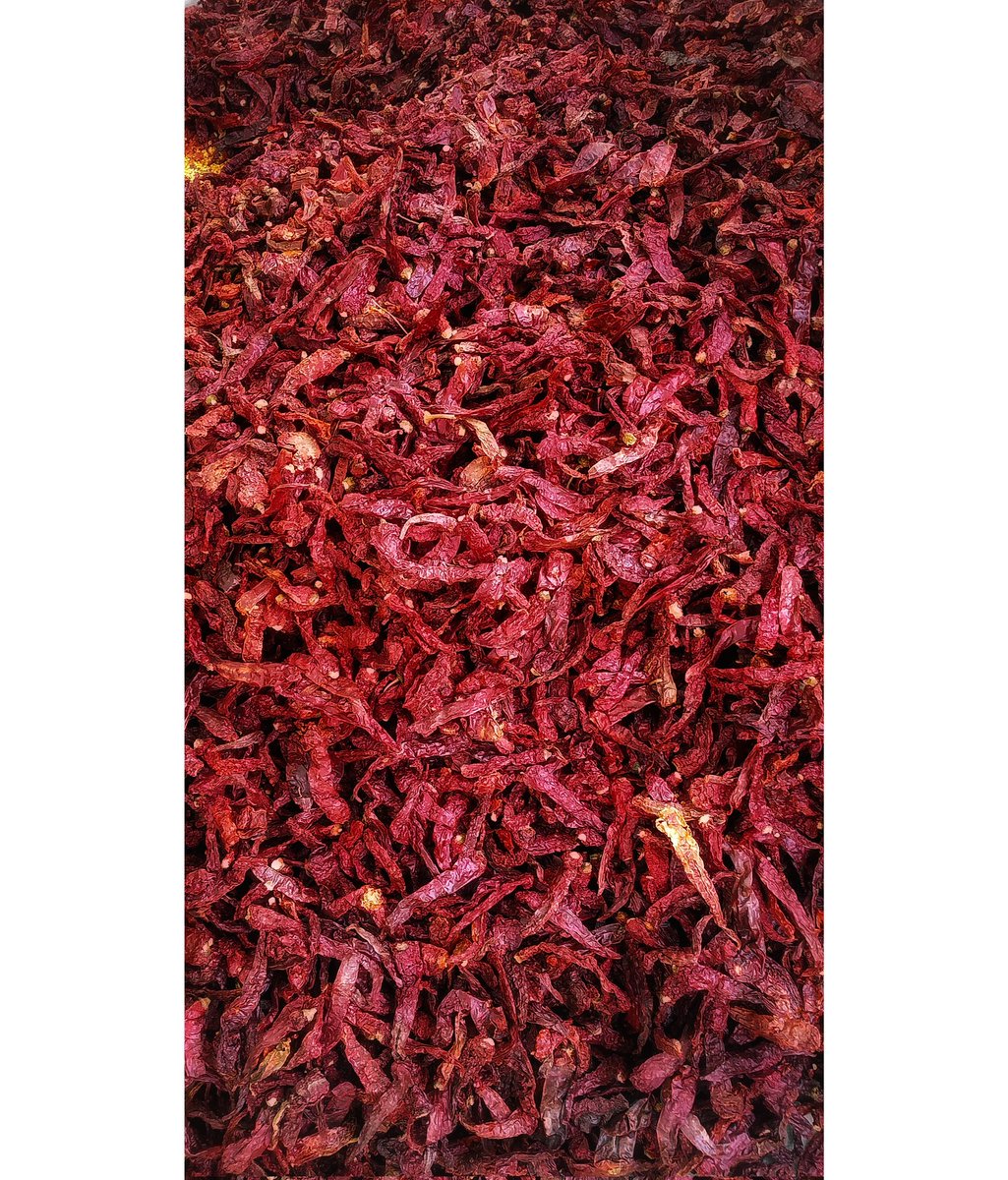 lalbadshah1410's tweet image. Hot hot Chilli 🌶 🔥🔥

A farmer segregates dry red chilli at a farm in the outskirts of Ahmedabad.
. 
#redchilli
