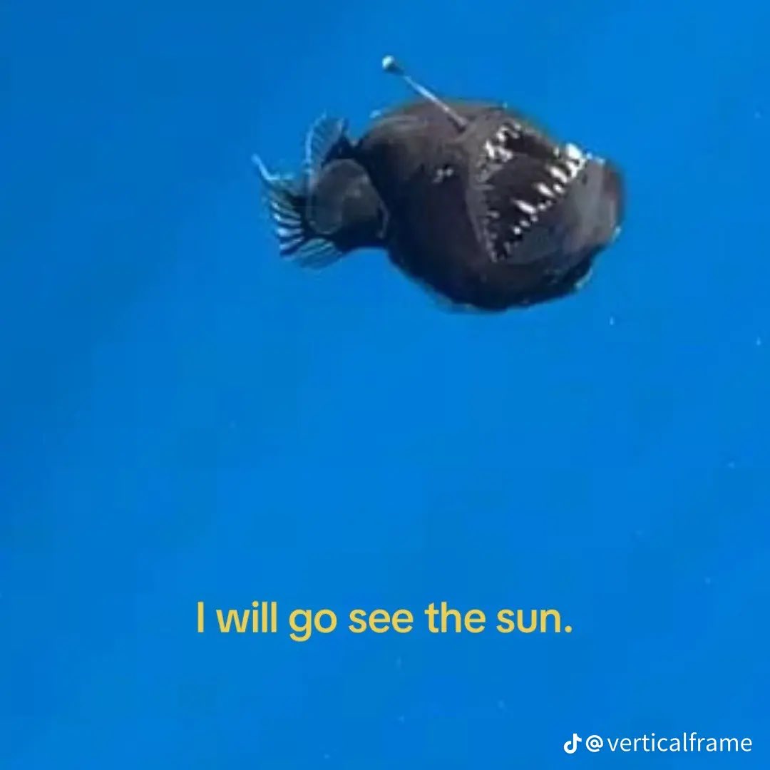 Anglerfish tweet media