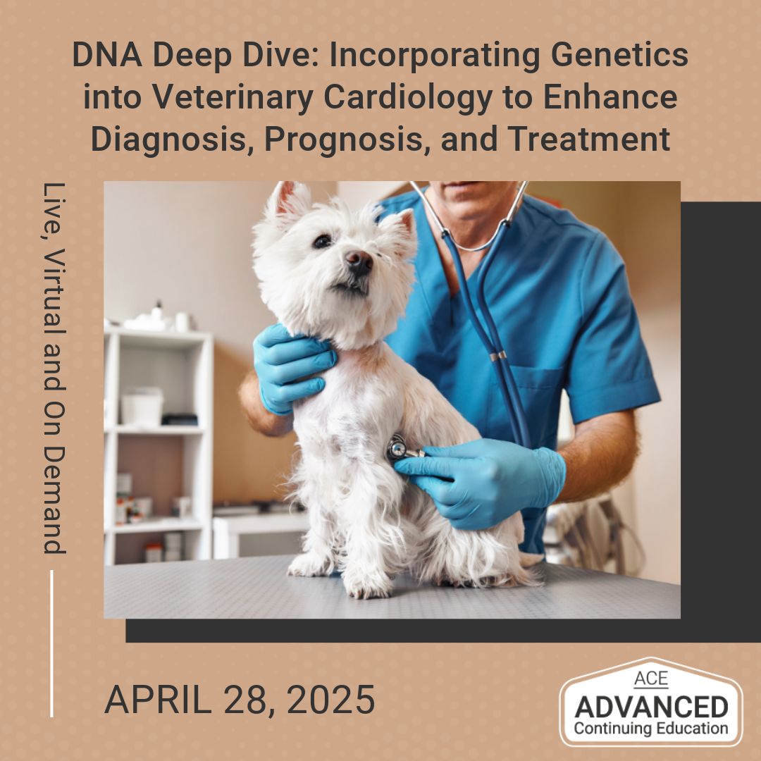 Registration is still open for DNA Deep Dive: Incorporating Genetics into Veterinary Cardiology to Enhance Diagnosis, Prognosis, and Treatment. 

Don’t miss out on this live, virtual, and on-demand opportunity taking place on April 28! Register now: buff.ly/n6CoakB