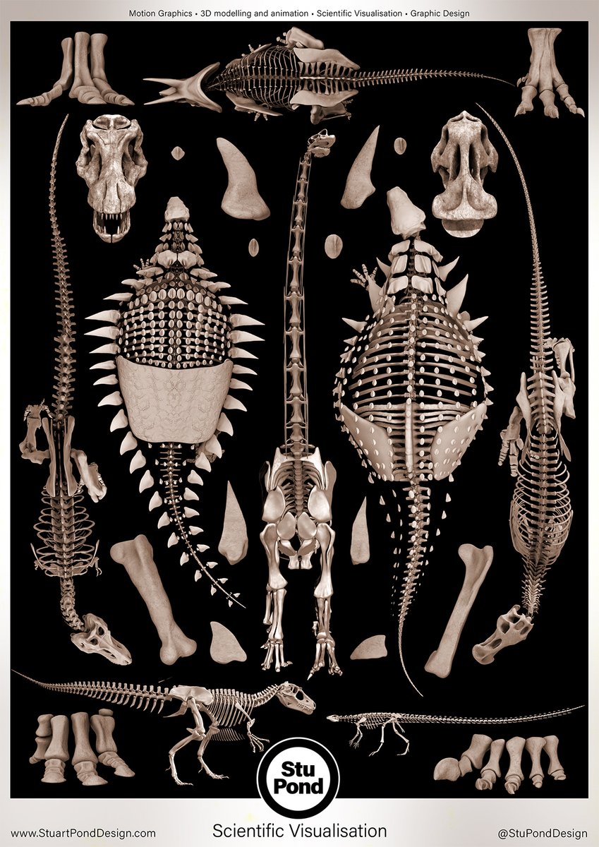 PaleoStu's tweet photo. I've currently got capacity for work, so get in touch via DM or website (link below) if I can help with anything or talk over new projects. Sci Comms specialist. #MotionGraphics #3Dmodelling #3Danimation #ScientificVisualisation #GraphicDesign https://t.co/h4C3da0EBA