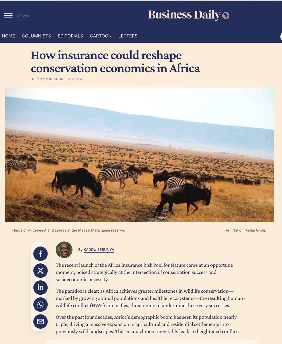 Kaddu Sebunya (@awfceo) on Twitter photo In my latest op-ed that has been published today in the <a href="/BD_Africa/">BusinessDaily</a>, I share my reflections on how innovative financial mechanismsâlike the newly launched Africa Insurance Risk Pool for Natureâcan play a transformative role in reshaping conservation economics across the continent. In my latest op-ed that has been published today in the <a href="/BD_Africa/">BusinessDaily</a>, I share my reflections on how innovative financial mechanismsâlike the newly launched Africa Insurance Risk Pool for Natureâcan play a transformative role in reshaping conservation economics across the continent.