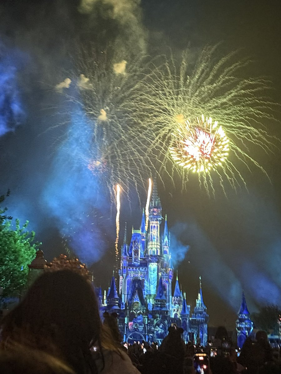 First week and a bit done. 2 more weeks to go, including a 5 day cruise to Mexico. It’s all going a bit quick. 
Florida is amazing though.