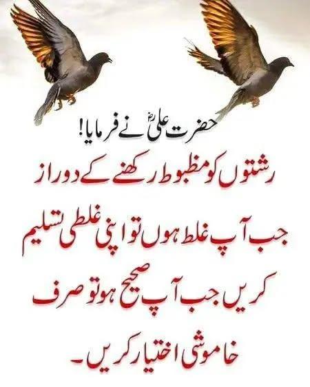 Assalamu Alaikum ❤️ Good Evening stay blessed and stay connected