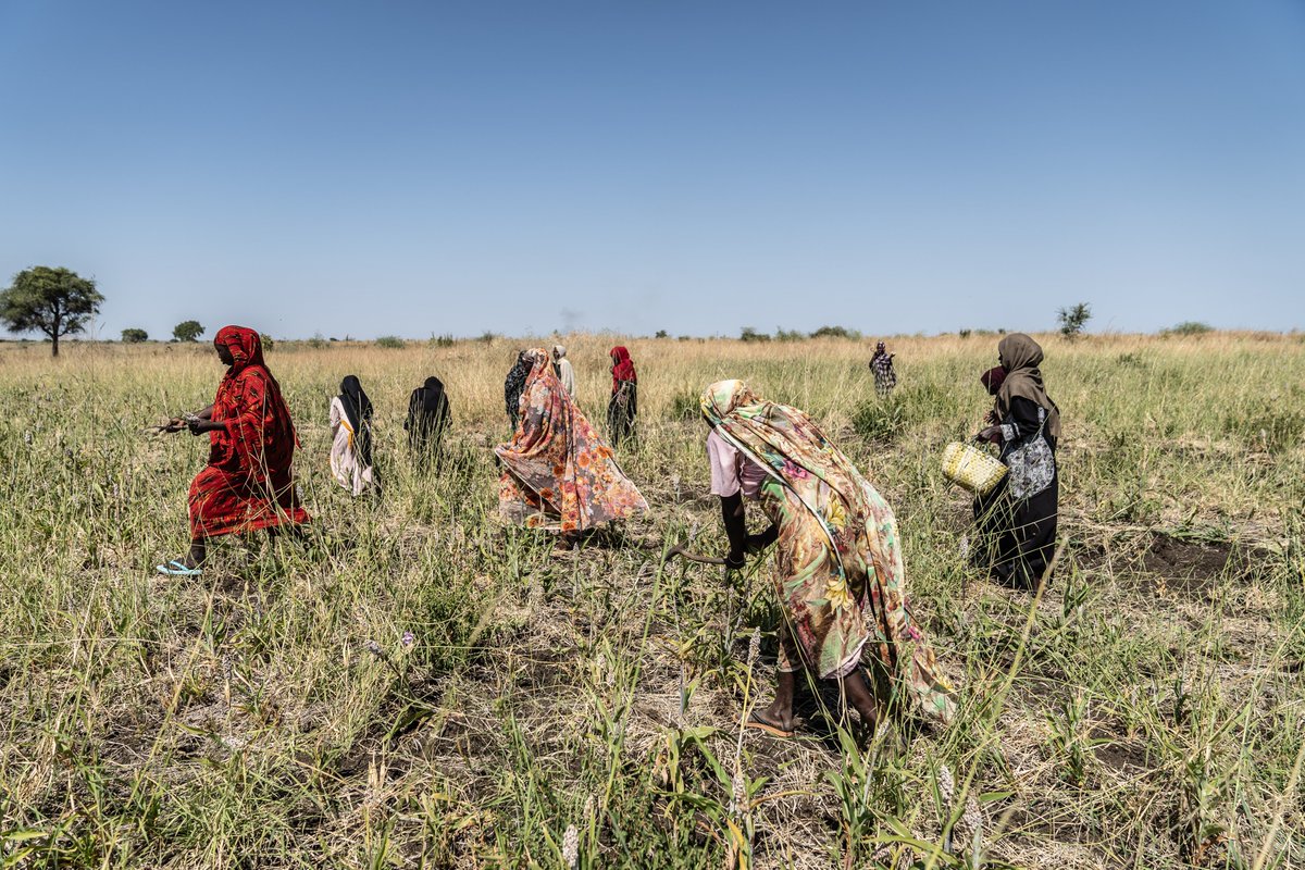As we mark 2️⃣ years of war in Sudan, we are sharing a blog from one of our deployments on the ground.

💡 The piece highlights the unwavering resilience of Sudanese communities and UNDP’s work to support them - from restoring livelihoods and strengthening peacebuilding efforts to