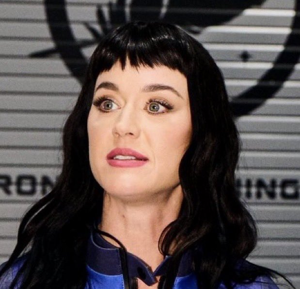 aelfred_D's tweet image. “Hello…people. It is I…Katy Perry…beloved music…woman. Those who claim…I have been…incorporated…by the glorious Flunpom Empire, may the suns never set upon her…are wrong. I am…the same as…before.”