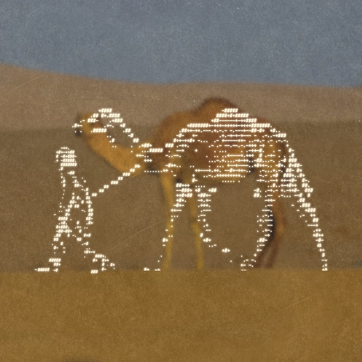 enigmatriz tweet media