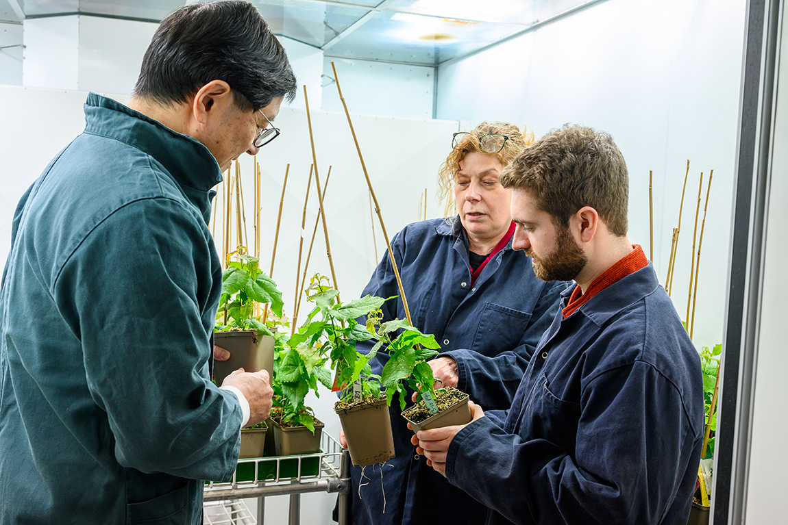 Umeå Plant Science Centre (UPSC) (@umeaplantsci) on Twitter photo NEWS - Adjusting trees’ internal clocks can help them cope with climate change.
This is one of the finding from a meta analysis done by Bertold Mariën in a collaborative project <a href="/IceLab_umea/">Integrated Science Lab</a> led by Maria E. Eriksson and Jun Yu.
Curious? Read more here👇:
upsc.se/about-upsc/new… NEWS - Adjusting trees’ internal clocks can help them cope with climate change.
This is one of the finding from a meta analysis done by Bertold Mariën in a collaborative project <a href="/IceLab_umea/">Integrated Science Lab</a> led by Maria E. Eriksson and Jun Yu.
Curious? Read more here👇:
upsc.se/about-upsc/new…