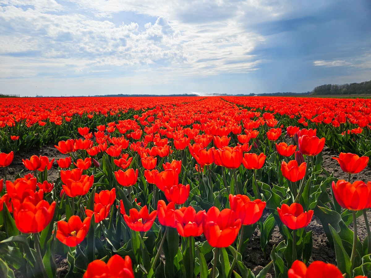 Er leek heel even regen te komen in Winschoten maar de zon schijnt alweer volop. Nog steeds 24 graden 🌞 #onweer #groningen #Groningertulpen