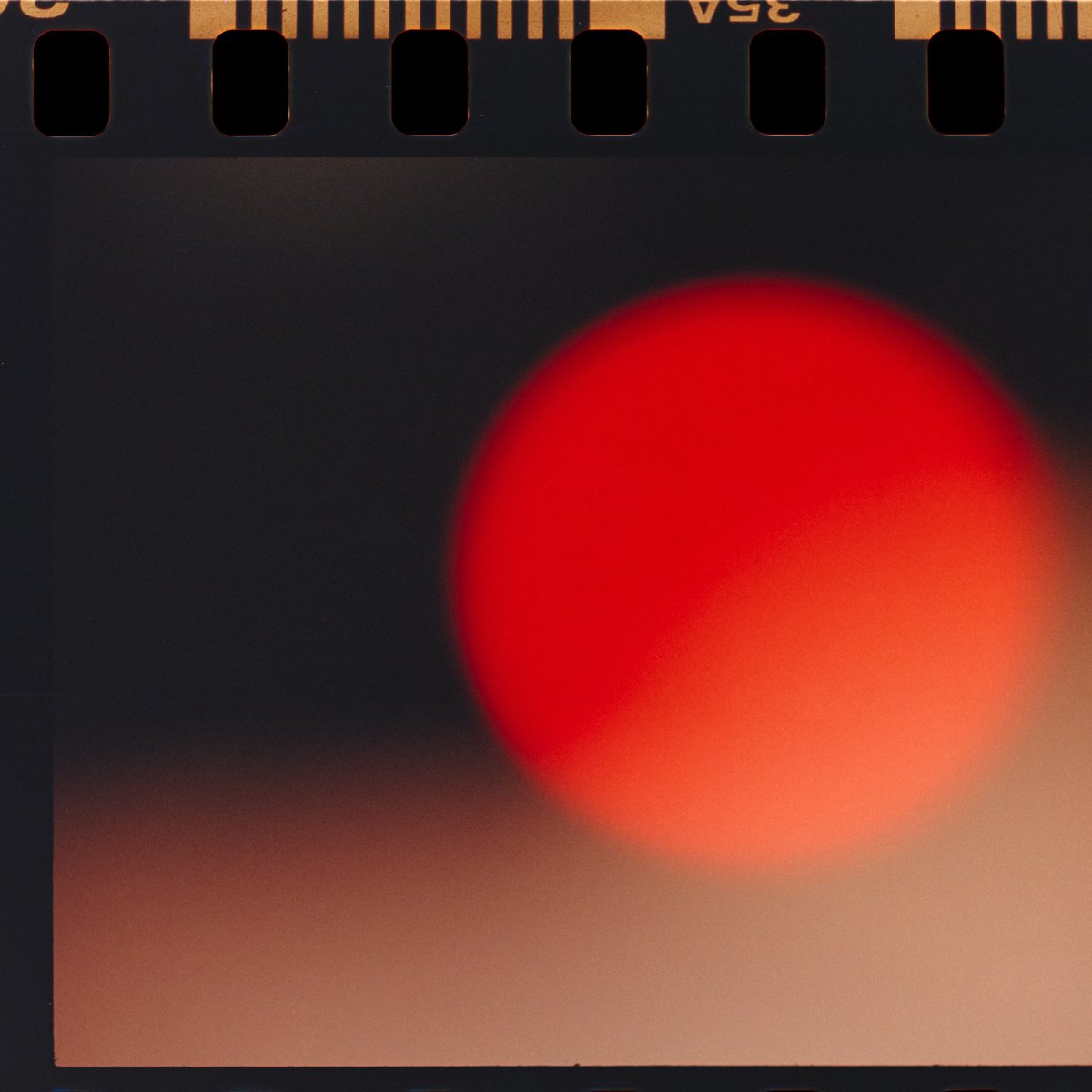 アンペル tweet media