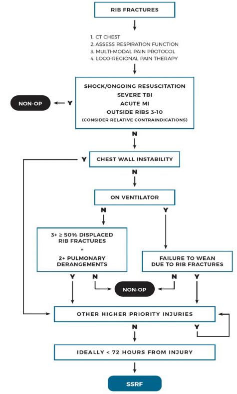 Trauma Surgery & Acute Care Open (TSACO) (@tsaco_aast) on Twitter photo Kicking off the 2025 Mattox Meeting #TCCACS2025
To fix or let them flail: the who, what and when of rib fixation 🫁
➡️ bit.ly/3GlKuw6
<a href="/DukeSurgery/">Duke Surgery</a> Kicking off the 2025 Mattox Meeting #TCCACS2025
To fix or let them flail: the who, what and when of rib fixation 🫁
➡️ bit.ly/3GlKuw6
<a href="/DukeSurgery/">Duke Surgery</a>