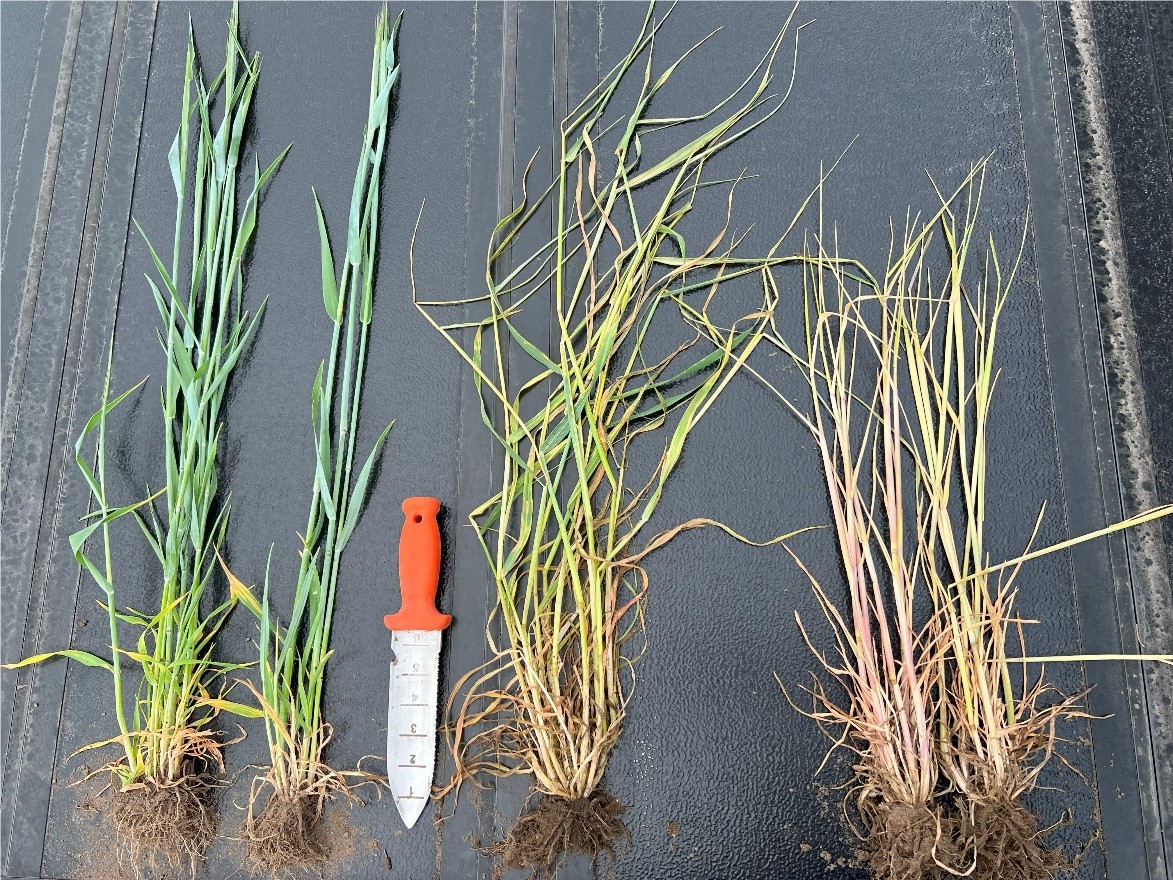 In The Field - April 15, 2025

view.flodesk.com/emails/67fe5e6…