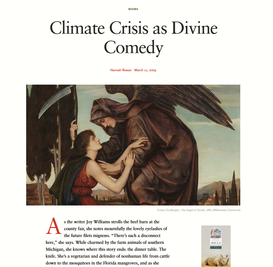 Modern Age (@modagejournal) on Twitter photo For Joy Williams, the ecological crisis cannot be solved by government or technology—it requires cultural and personal change.
Out from behind the paywall, <a href="/Hannah_Cristine/">Hannah Rowan</a> reviews “Concerning the Future of Souls”: modernagejournal.com/climate-crisis… For Joy Williams, the ecological crisis cannot be solved by government or technology—it requires cultural and personal change.
Out from behind the paywall, <a href="/Hannah_Cristine/">Hannah Rowan</a> reviews “Concerning the Future of Souls”: modernagejournal.com/climate-crisis…