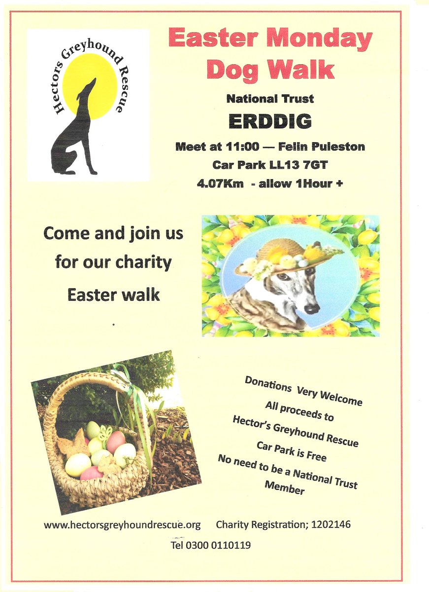 Hector’s Greyhound Rescue (@hectorsgrescue) on Twitter photo 