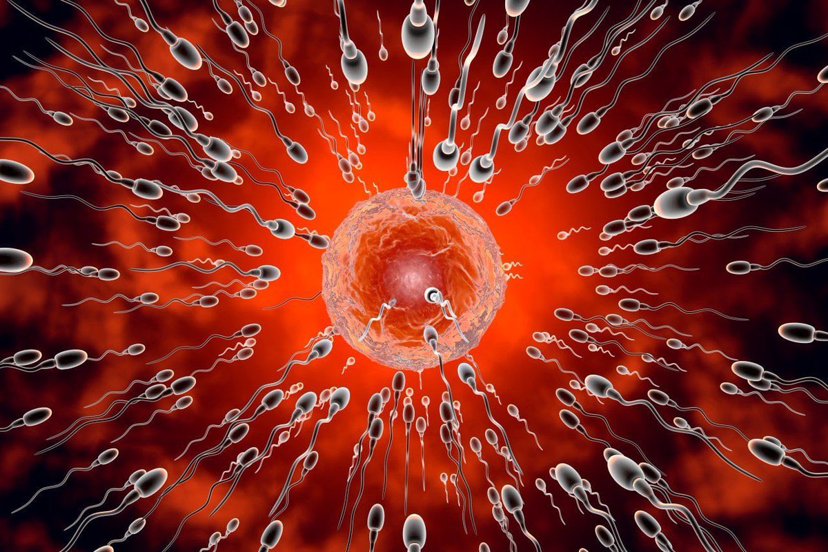 Live sperm racing is launching in Los Angeles next week, where spectators will watch real human sperm compete in real-time.