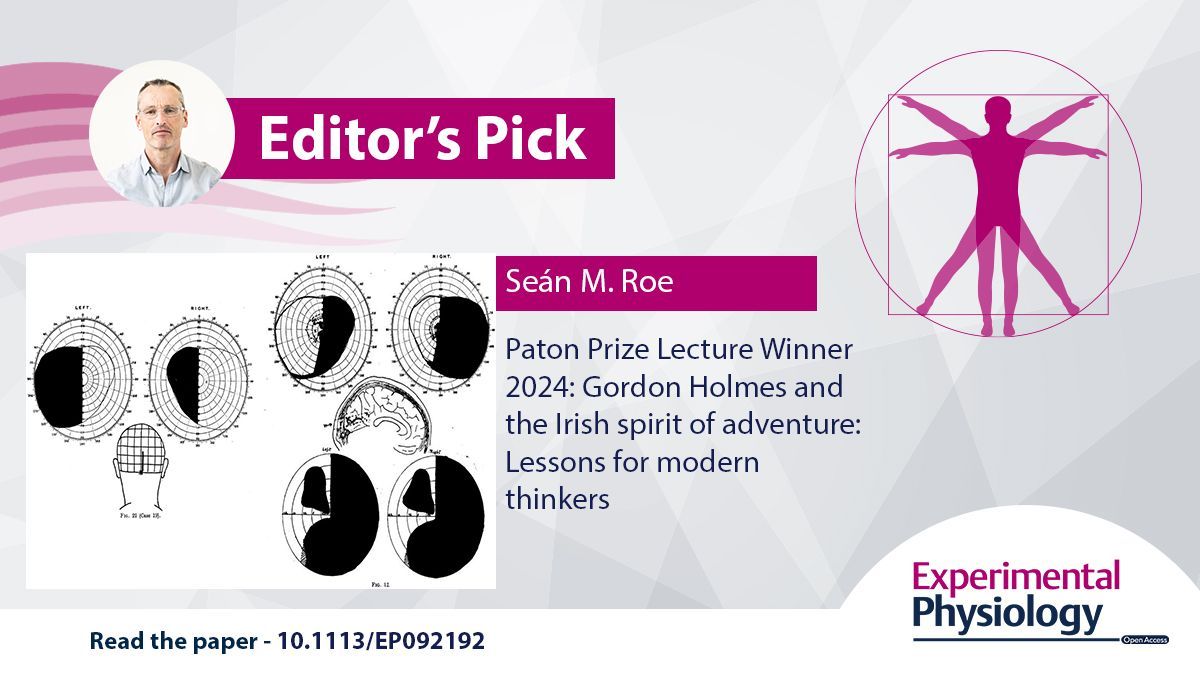 Experimental Physiology (@expphysiol) on Twitter photo 🎓EDITOR'S PICK🎓
In this 2024 Paton Prize-winning #Lecture Seán M. Roe (<a href="/QueensBiomed/">QUB Centre for Biomedical Sciences Education</a>) details the life of Gordon Holmes and the Irish spirit of adventure!
📜buff.ly/2zp8S82 🎓EDITOR'S PICK🎓
In this 2024 Paton Prize-winning #Lecture Seán M. Roe (<a href="/QueensBiomed/">QUB Centre for Biomedical Sciences Education</a>) details the life of Gordon Holmes and the Irish spirit of adventure!
📜buff.ly/2zp8S82