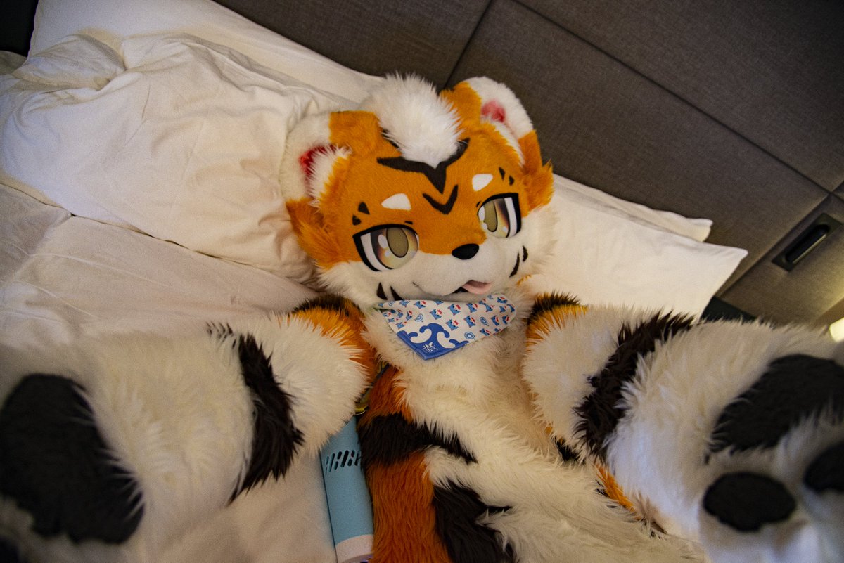 baicai_coin's tweet image. “快来我怀里~”
毛替：@FoxKohaku 
#FursuitEveryday